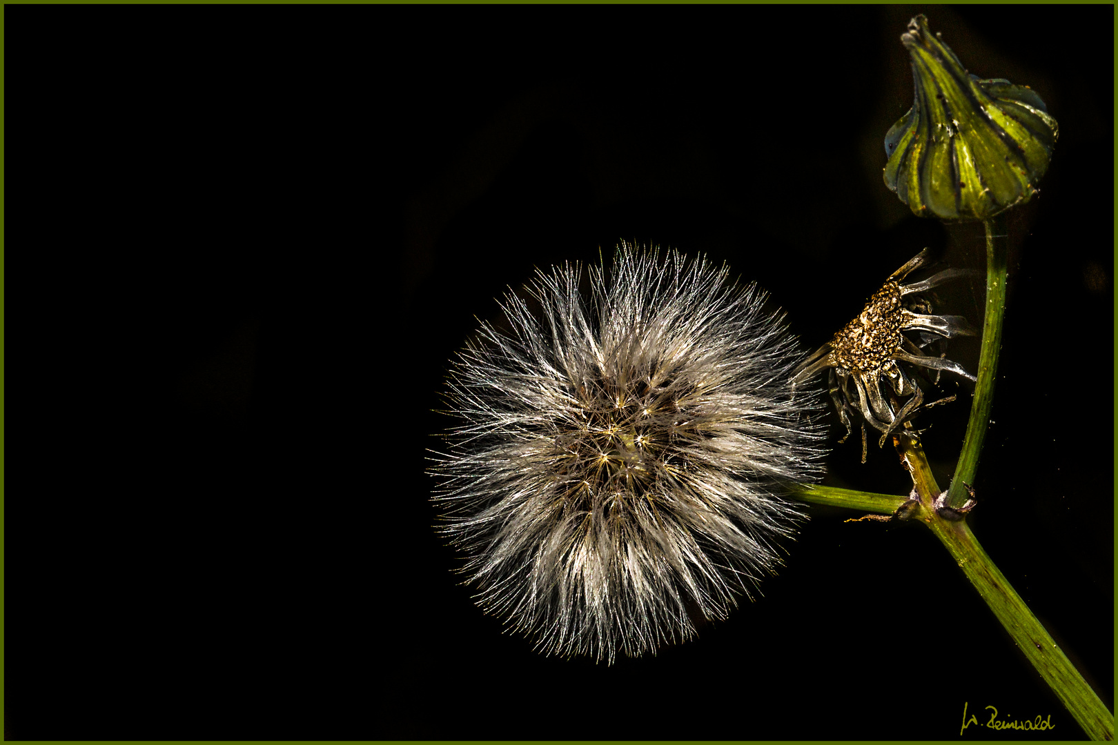 ~ Flauschig ~