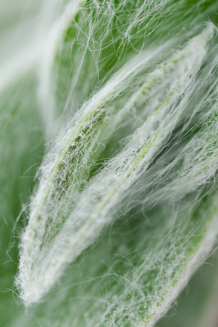 Flauschig eingepackt