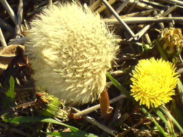 Flauschig und bunt - mitten im Winter