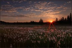 ~ Flauschiger Sonnenuntergang ~