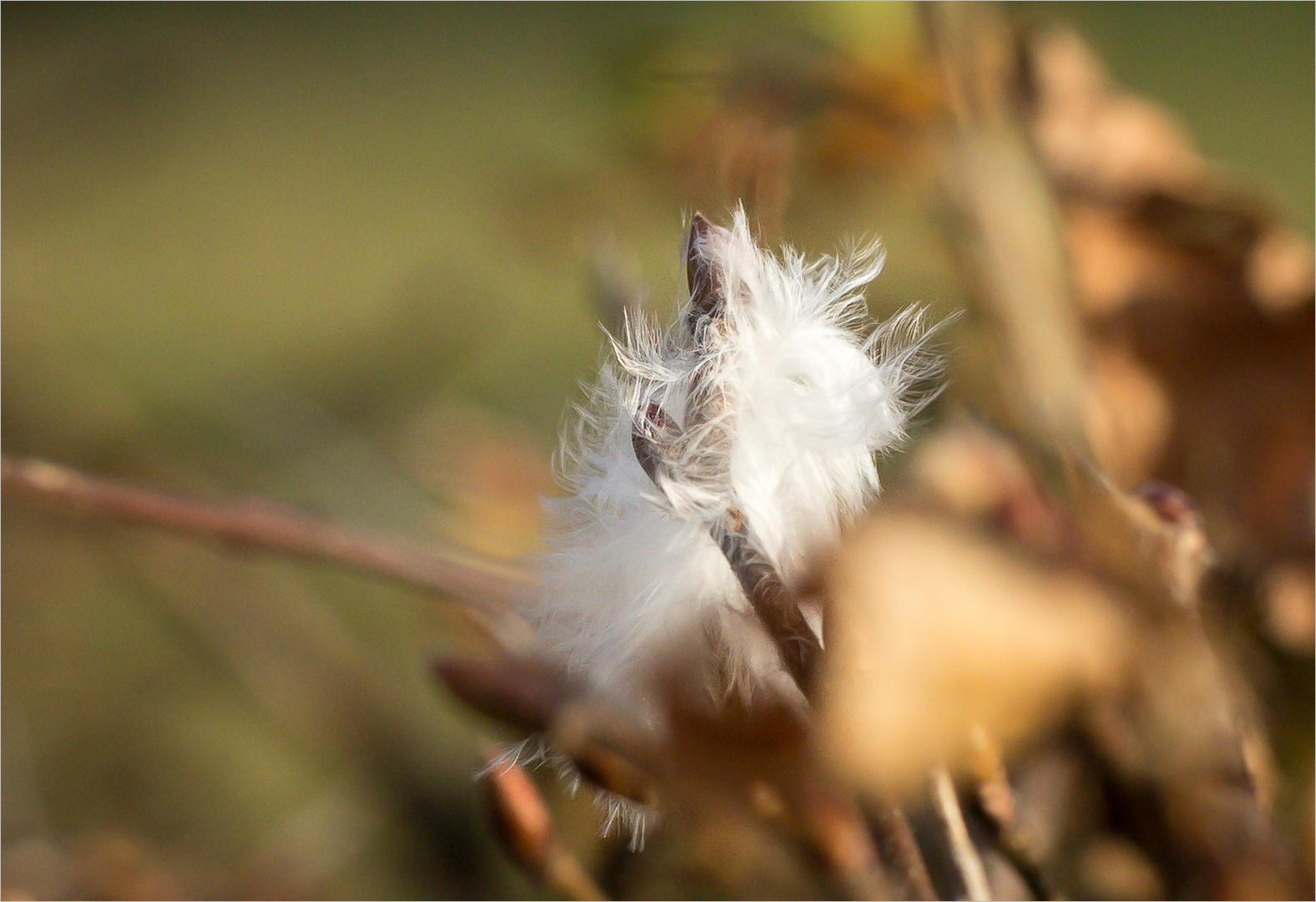 Flauschiger Winter