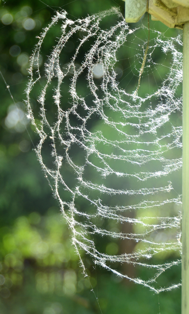 flauschiges Netz