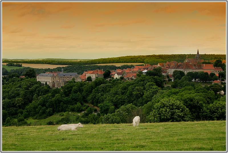 Flavigny