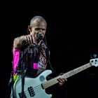 Flea, Red Hot Chili Peppers