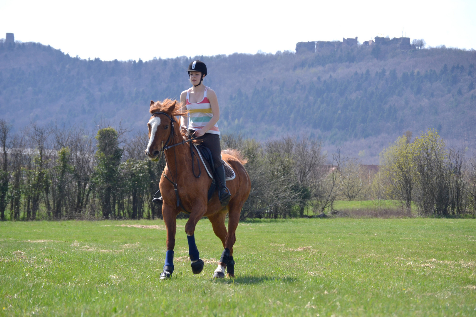 Flèche et moi !