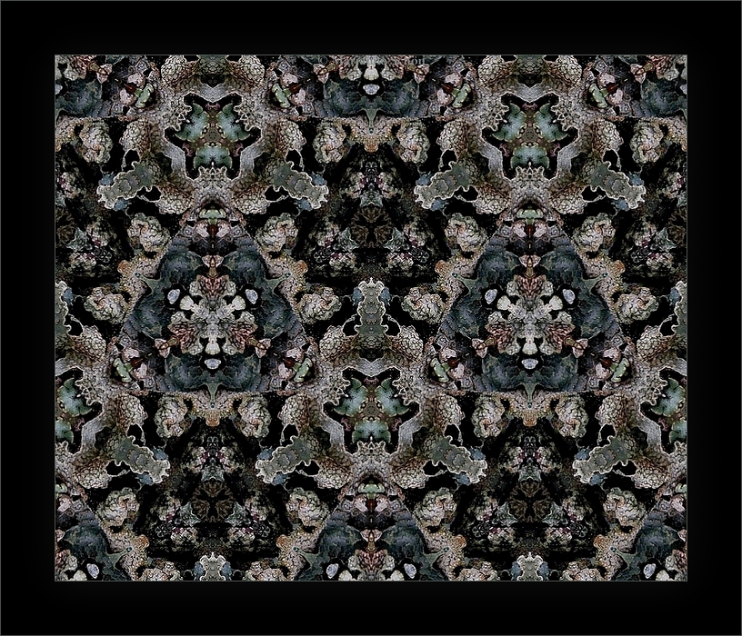 Flechten-Kaleidoskop