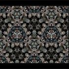 Flechten-Kaleidoskop