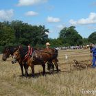 Flechtingen 2012