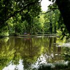 Flechtingen (6) Der Schlosspark zum Wasserschloss.