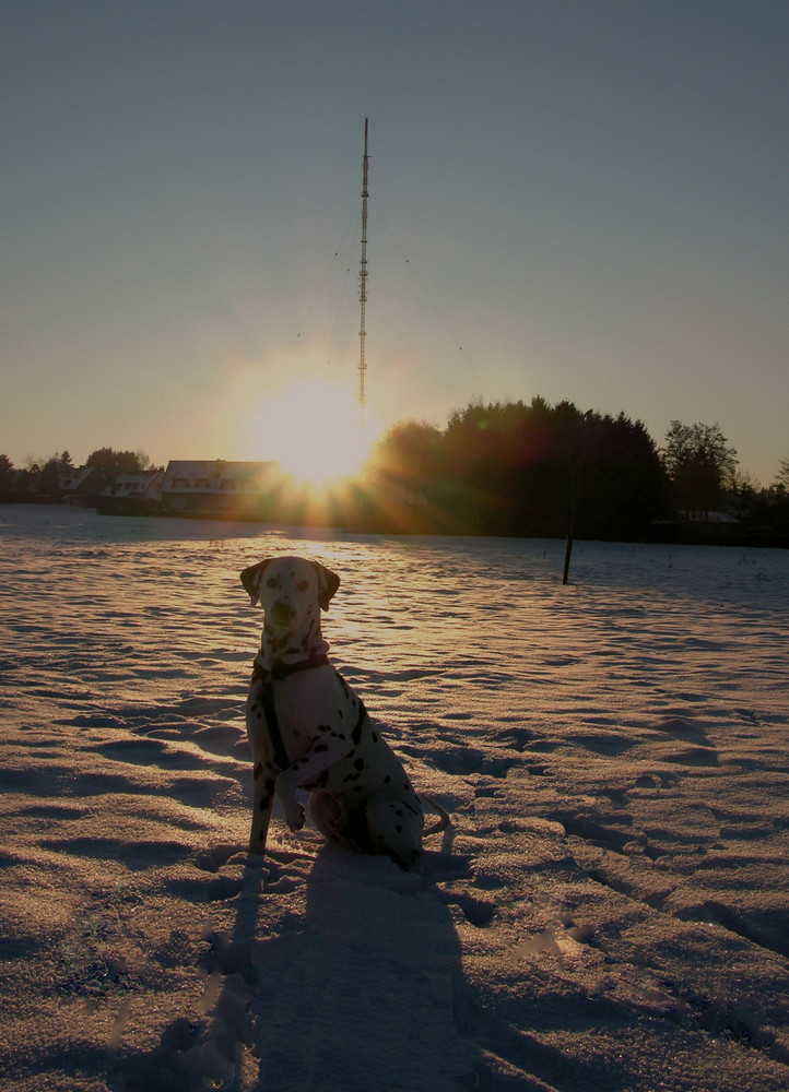 Flecken im Schnee