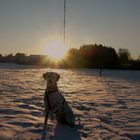 Flecken im Schnee