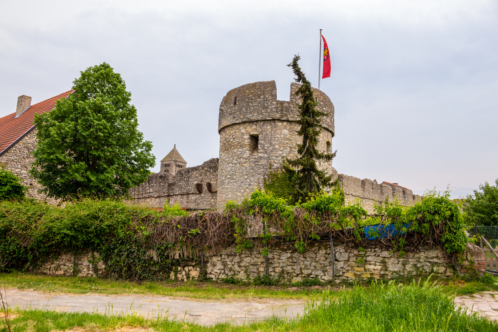 Fleckenmauer