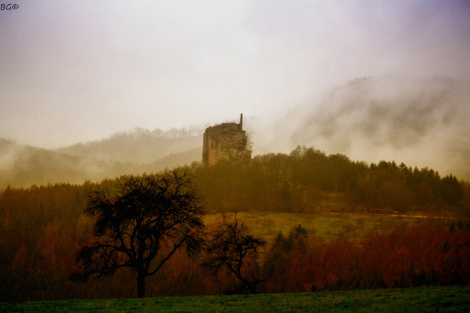 Fleckenstein im März