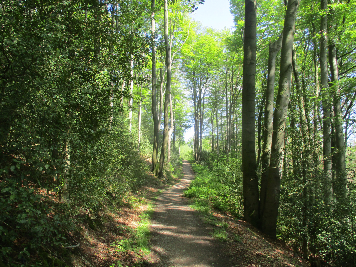 Fleckenweg