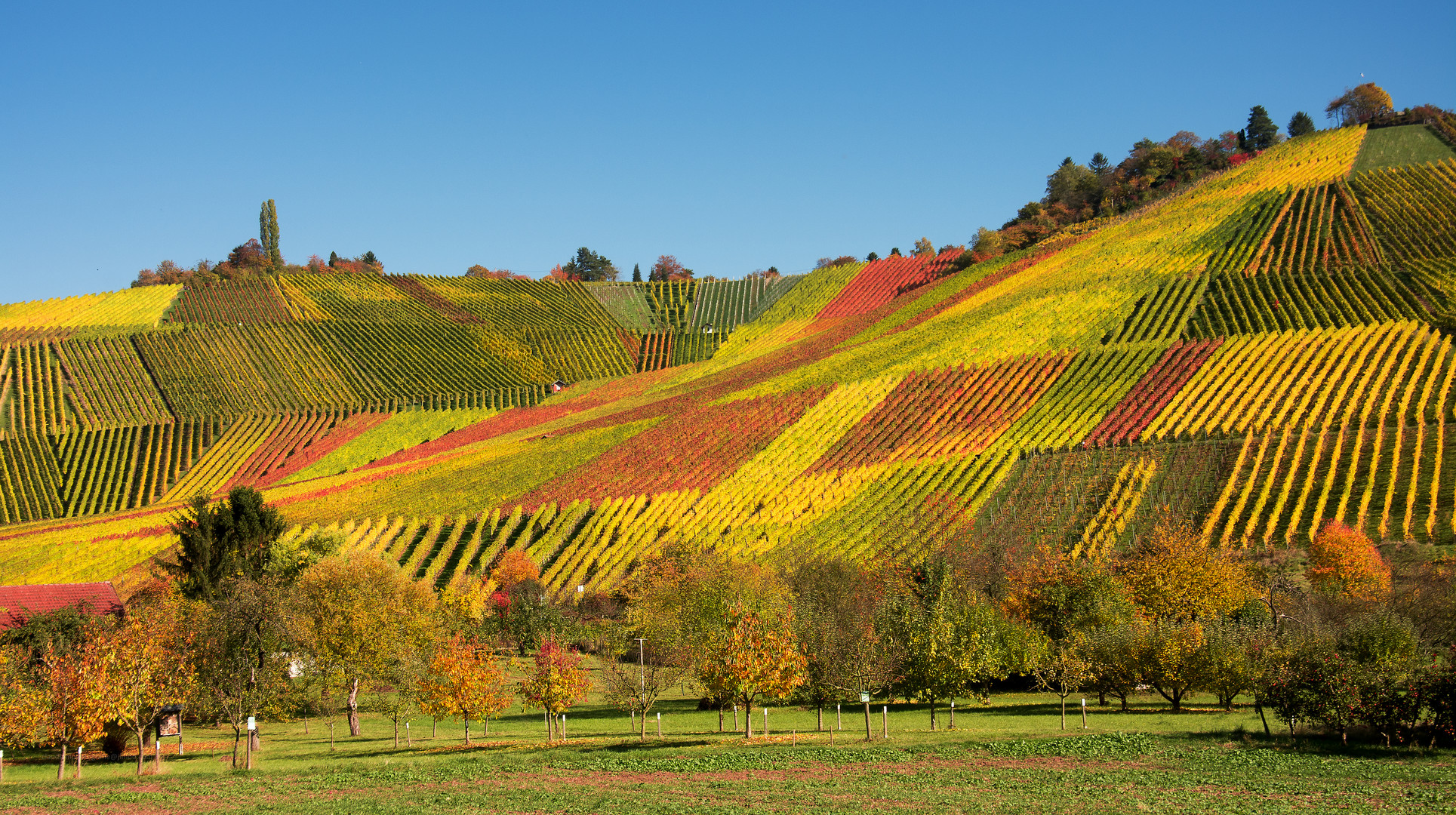 Fleckerlteppich