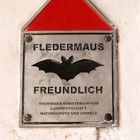 Fledermaus an der Wartburg