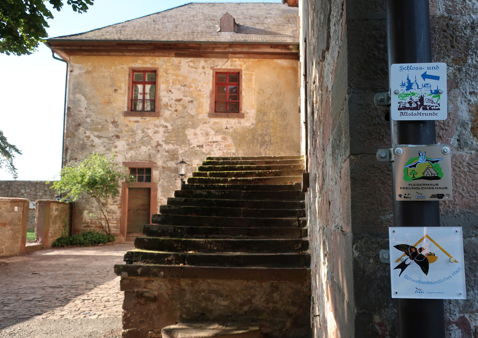 Fledermaus + Schwalbenfreundliches Haus homberg ohm