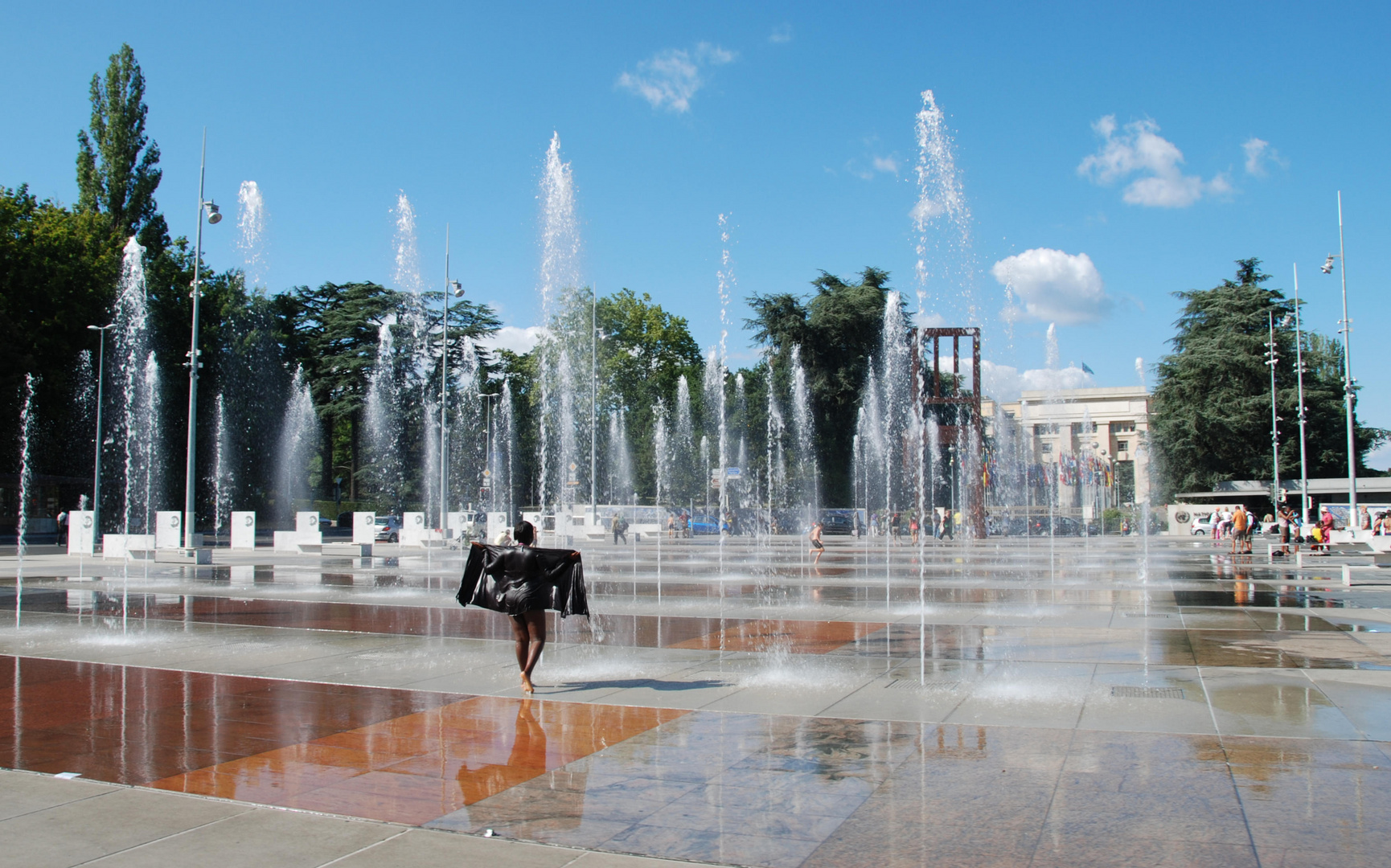 Fledermaus und die Genfer Wasserspiele