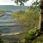 Fleesensee-Ufer bei Göhren, Mecklenburg-Vorpommern