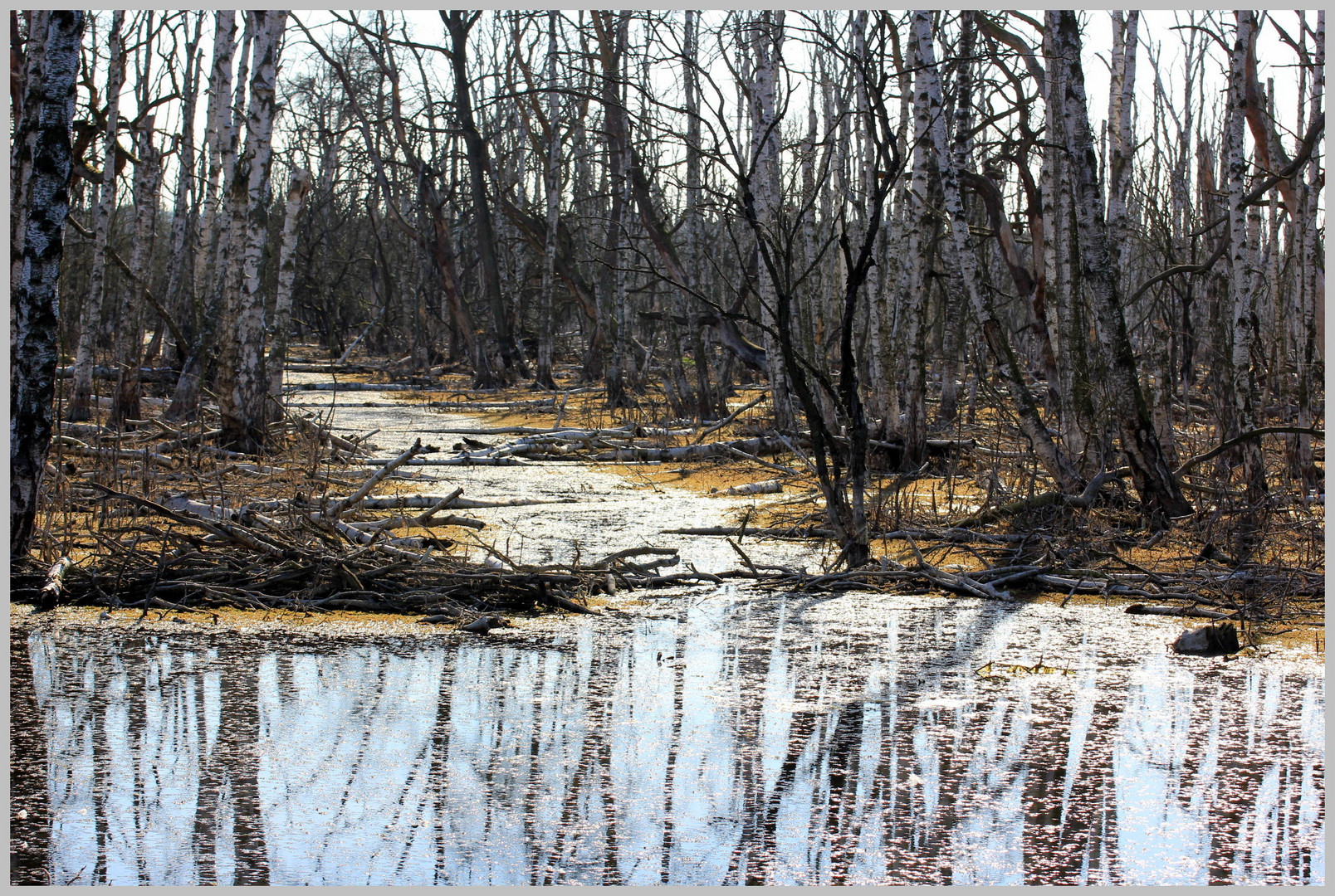 "Fleethof" Wasserschutzsgebiet