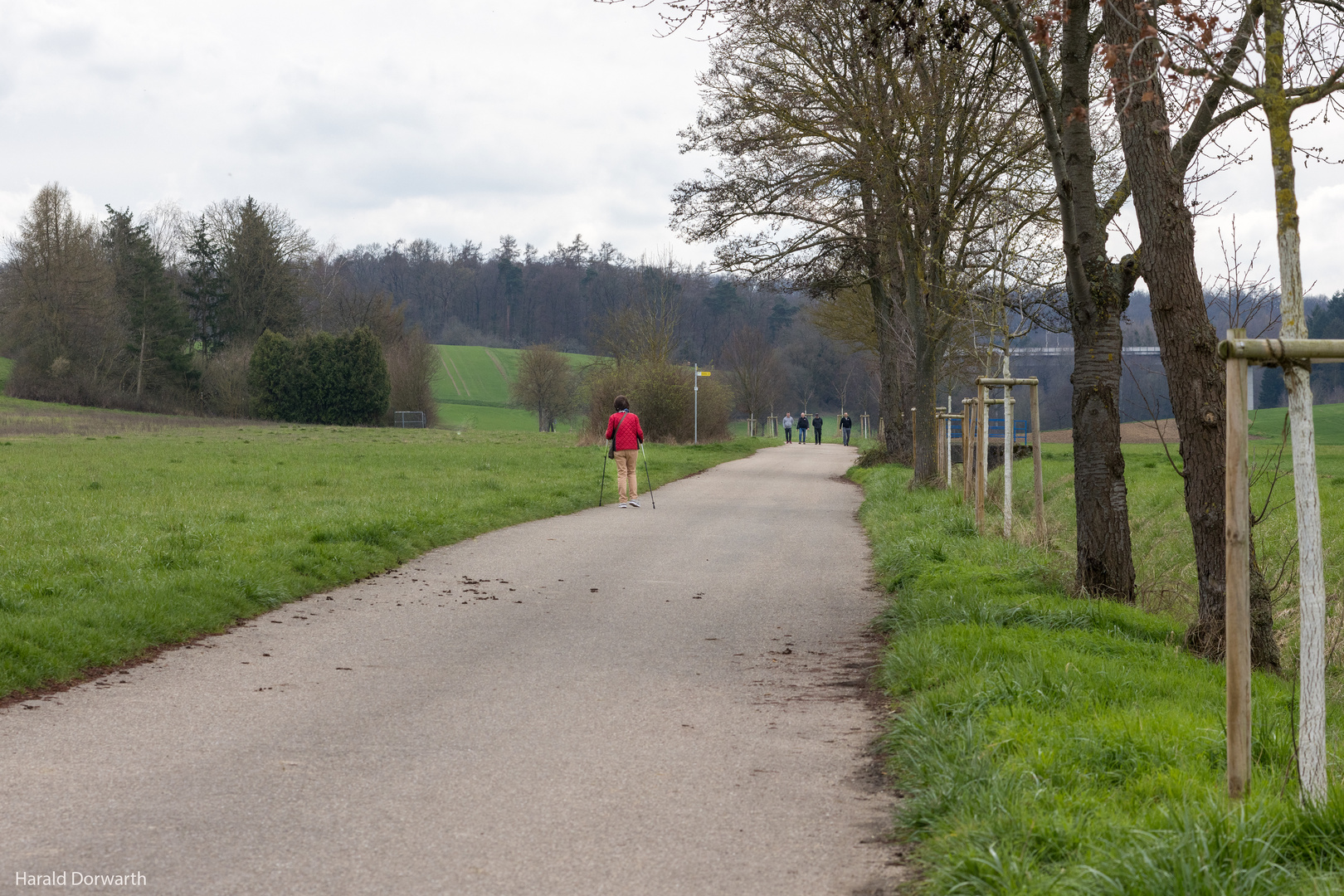 Flehingen, Zig...graben