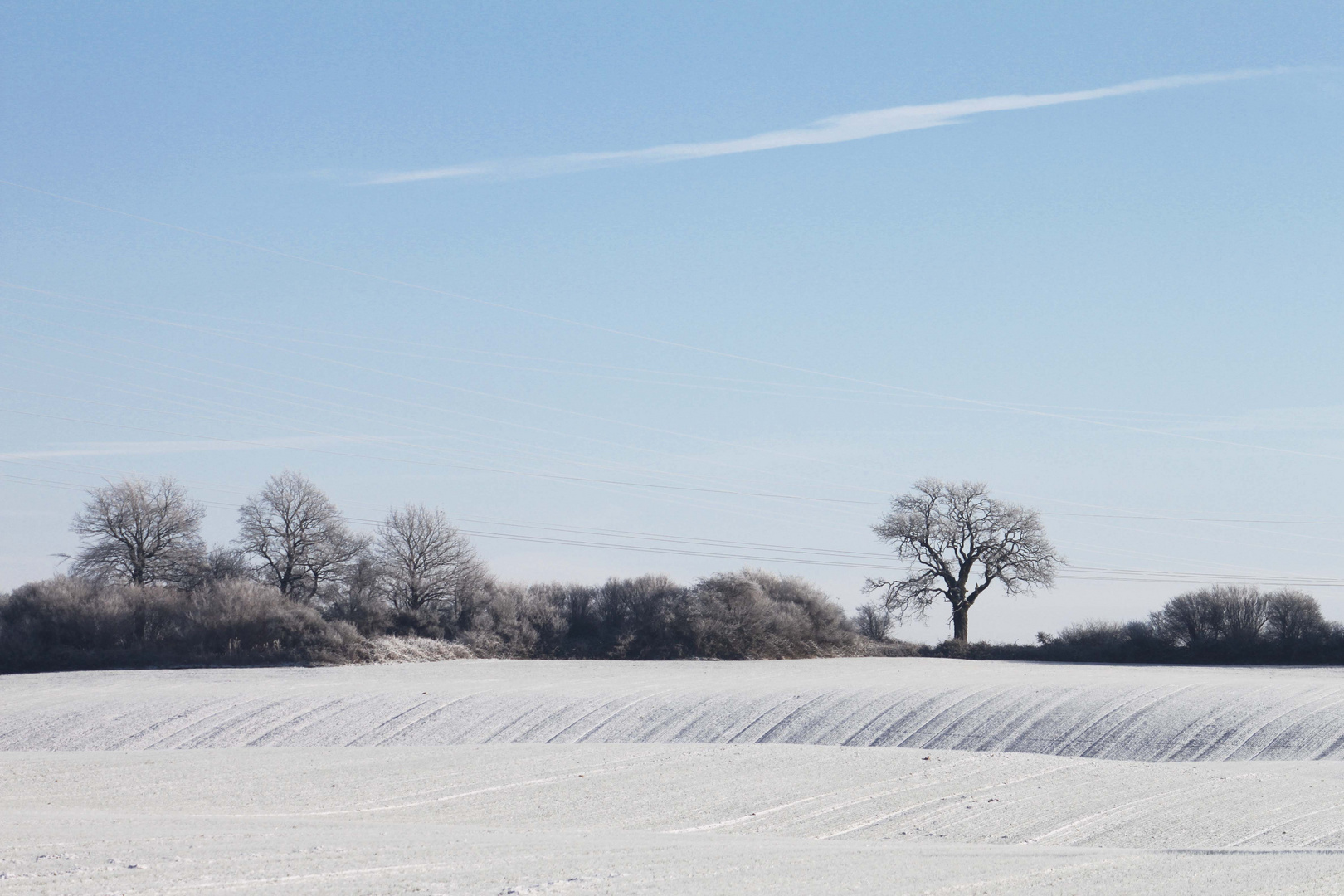 Flehmhuder Landschaft