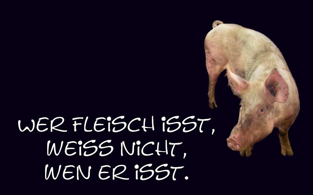 fleisch