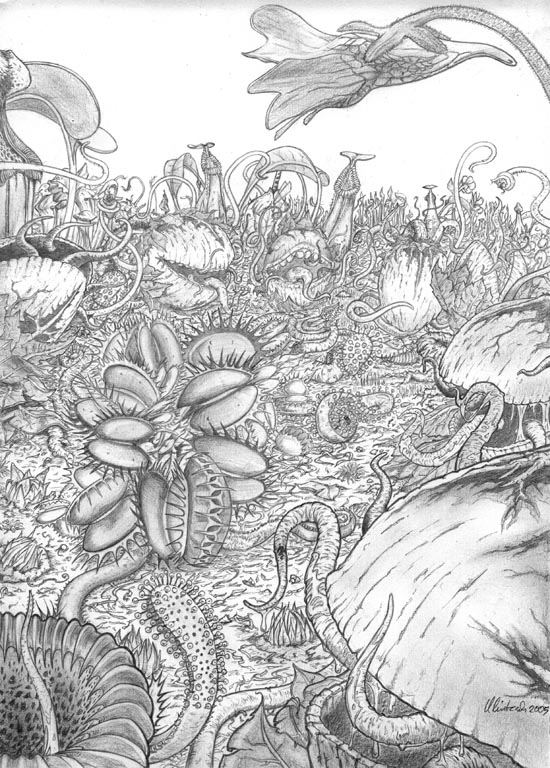 Fleischfressende Pflanzen Foto & Bild | 2d-grafik, zeichnungen, digiart