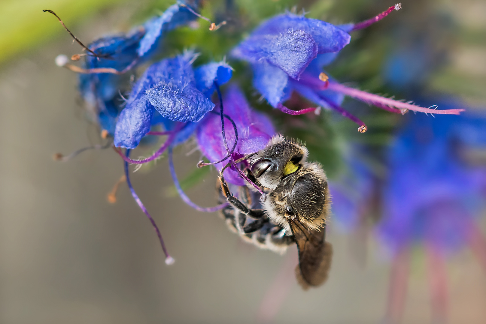 Fleißig bei der Arbeit