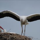 Fleißig üben...   (III)