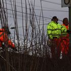 Fleißige Bahnbinchen   iMMEN  ;-)