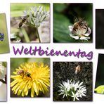 Fleißige Bienchen#3