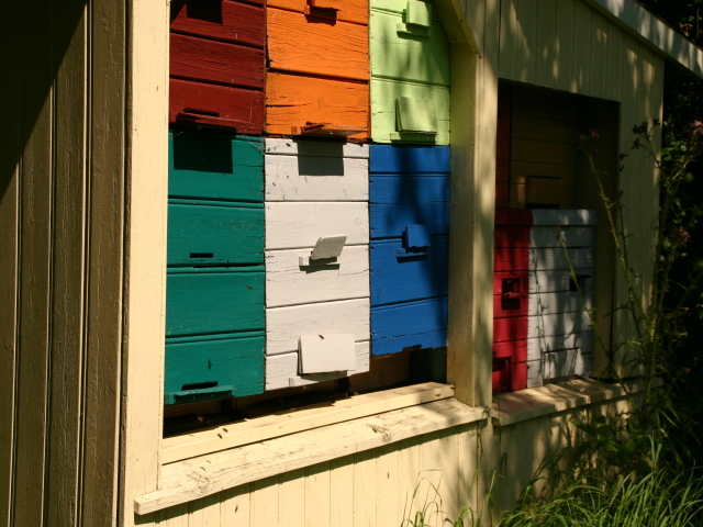 Fleissige Bienen in Lindlar Freilichtmusseum