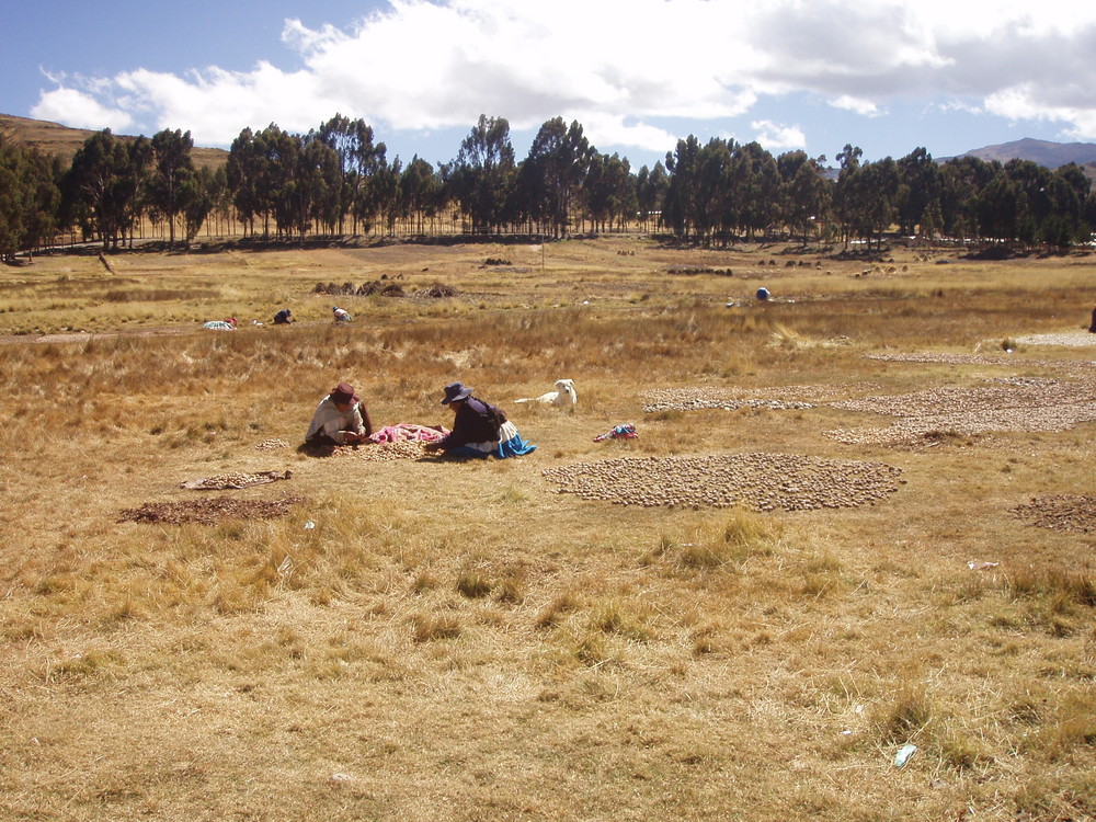 Fleißige Frauen in Bolivien