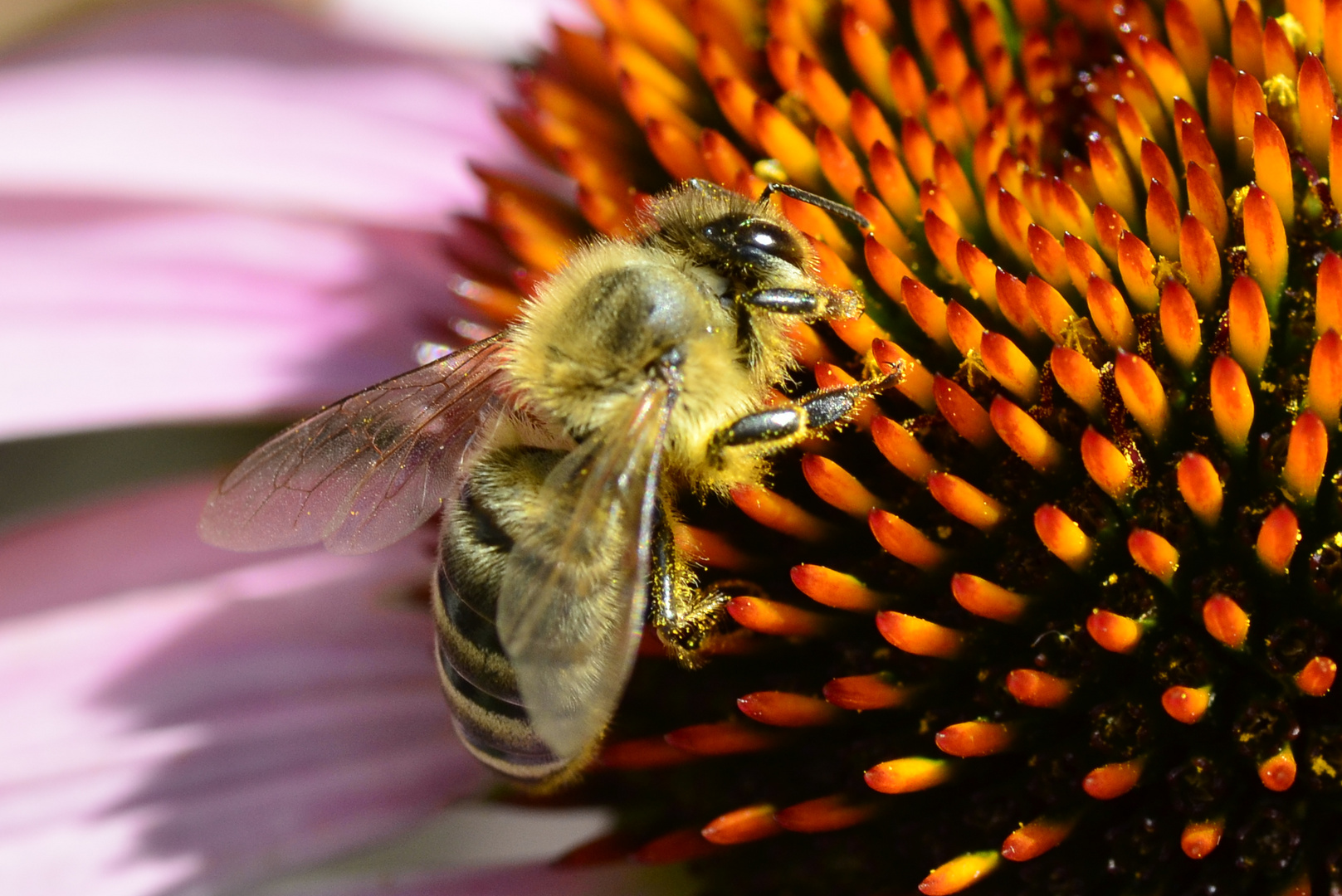 Fleißige Gartenhelfer