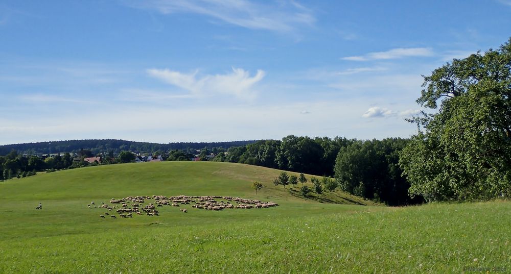 Fleißige Rasenmäher im Ländle unterwegs...