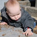 Fleissiger Helfer im Garten - Dreck muss sortiert werden...