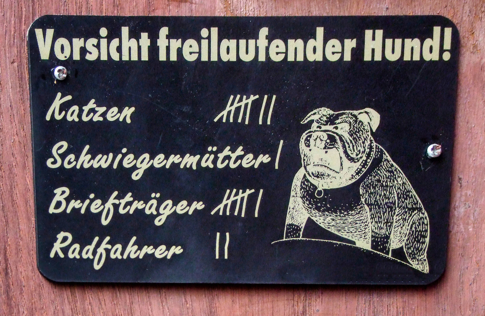 fleißiges Tierchen