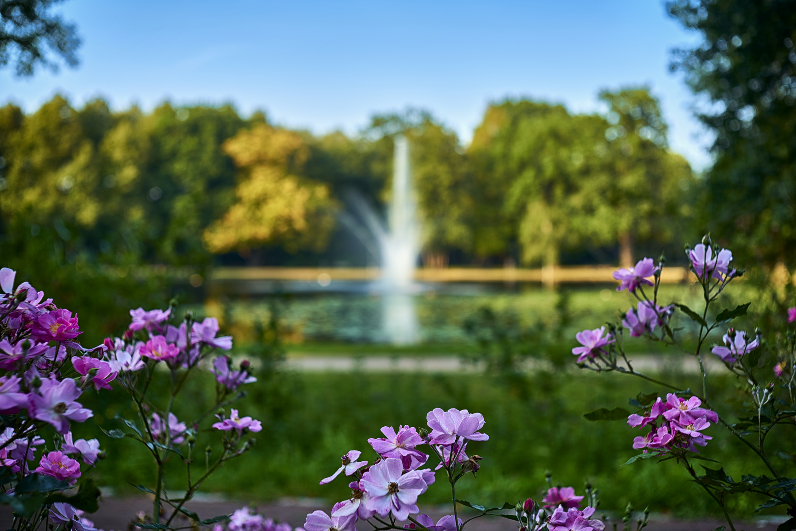 Flektogon 35mm Celle französischer Garten