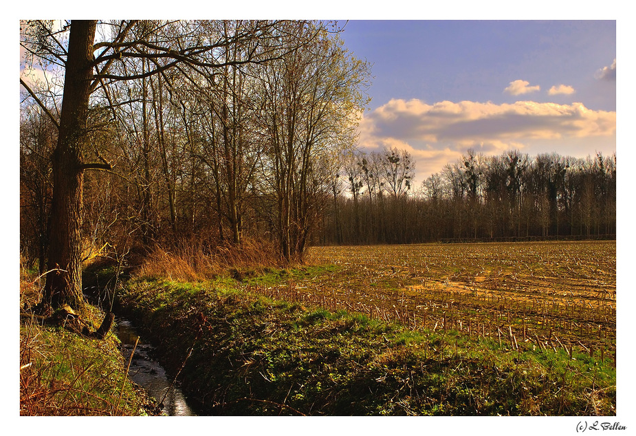 " Flemish Fields "