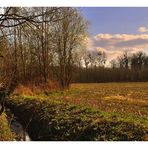 " Flemish Fields "