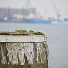 Flensburg Hafen