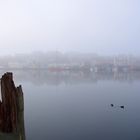 Flensburg im Nebel