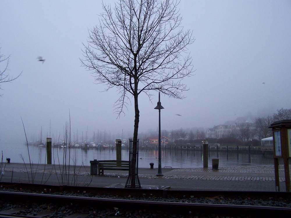 Flensburg silence