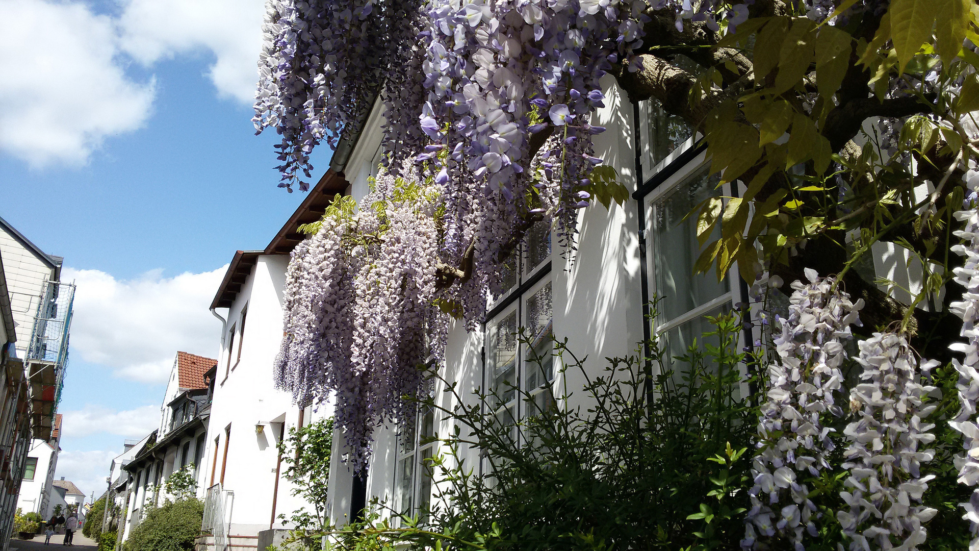 Flensburg St. Jürgenstraße