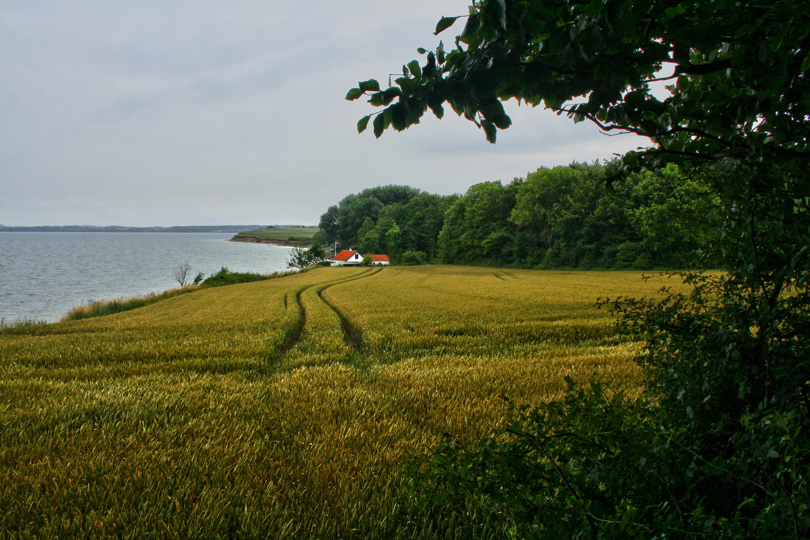 Flensburger Außenförde.