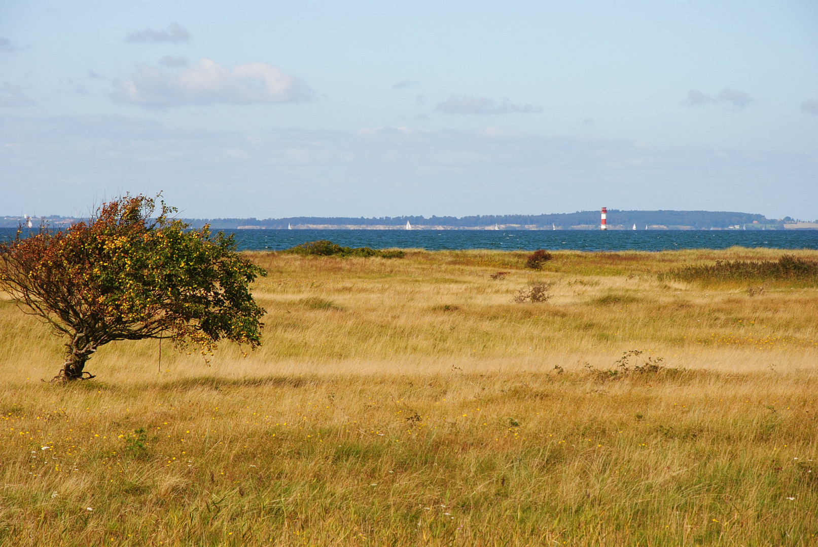 Flensburger Förde