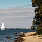 Flensburger Förde