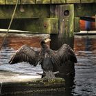 Flensburger Hafen