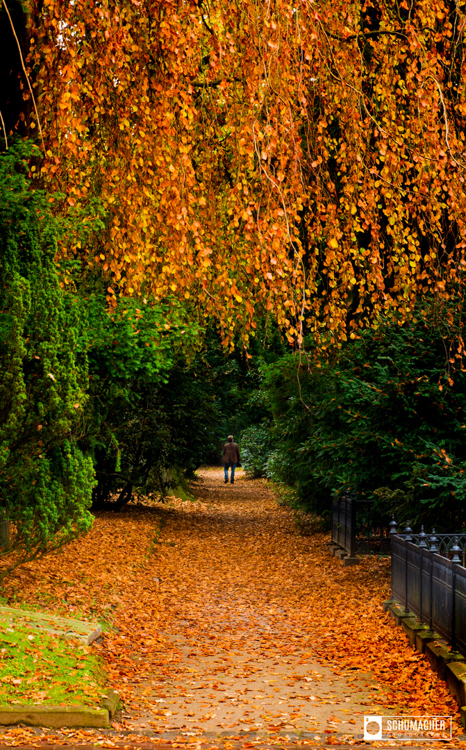 Flensburger Herbst